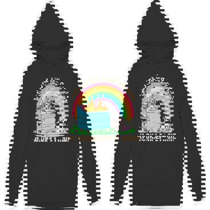 Raccoon Dumpster Fire Hoodie | Groovy Light of Mine for Unisex