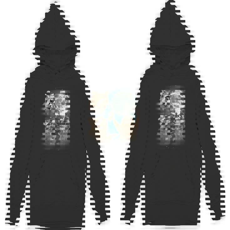 Raccoon Howling Moon Hoodie - Unique & Quirky Unisex Design