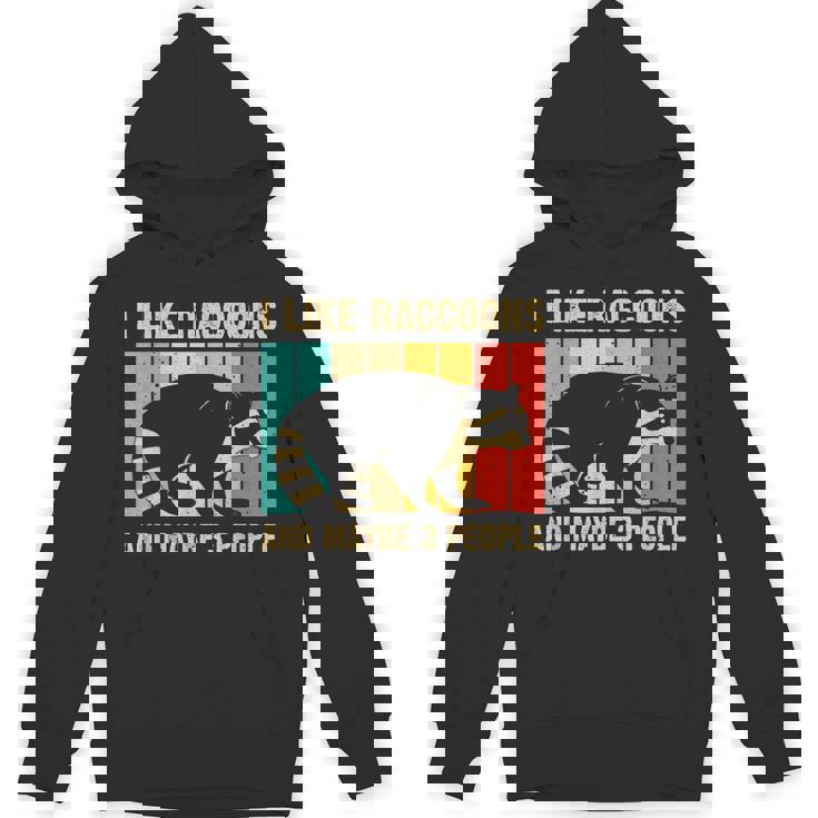 Raccoon Lover Unisex Hoodie - Cozy Essentials for Introverts
