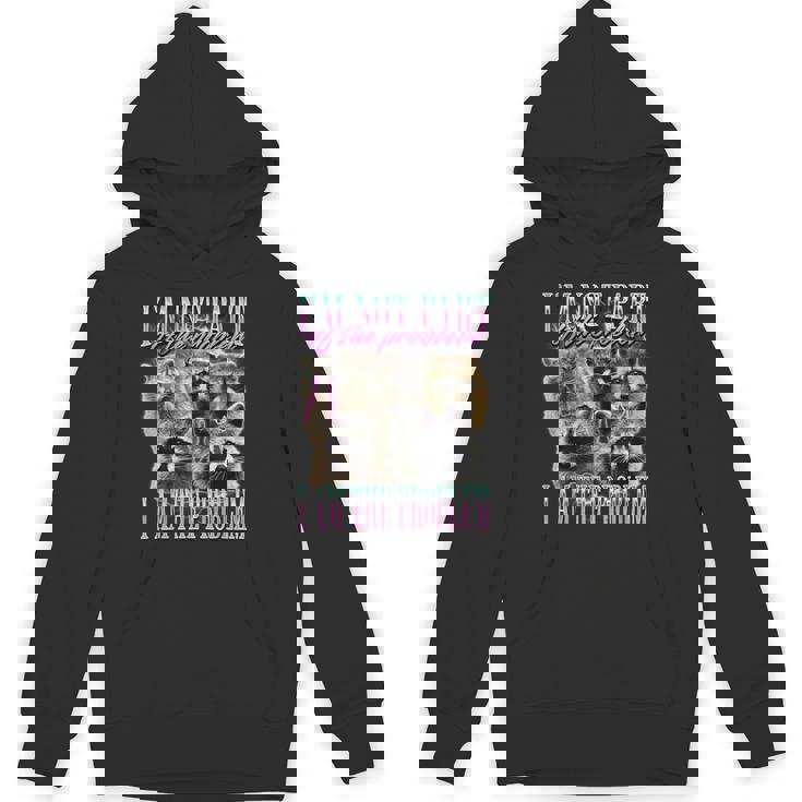 Raccoon Meme Unisex Hoodie | Indie Style - Comfortable Wear