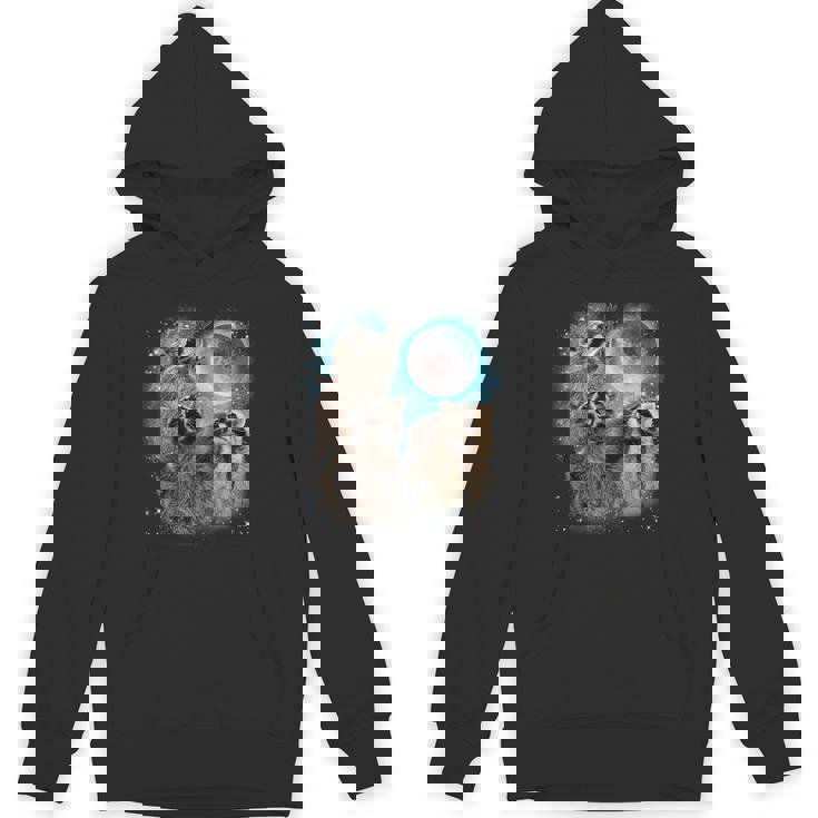 Raccoon Moon Howling Unisex Hoodie – For Men, Women & Kids