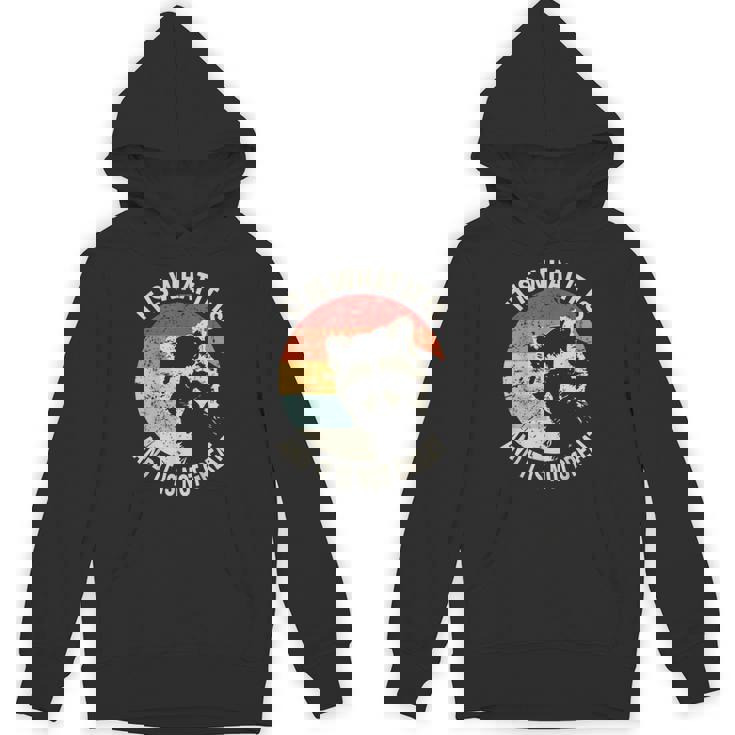 Raccoon Vintage Hoodie - Unisex Comfort | Quirky Humor