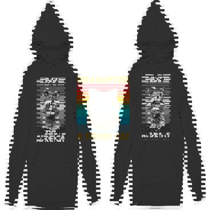 Raccoon Vintage Retro Unisex Hoodie - Fun For All Ages