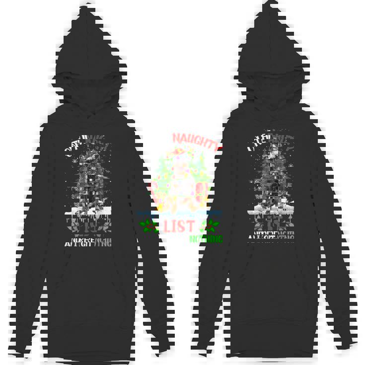 Rottweiler Christmas On The Naughty List And I Regret Unisex Hoodie