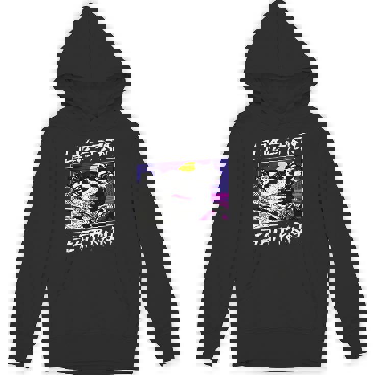 Street Cats & Trash Pandas Unisex Hoodie - Fun & Quirky Adult Fashion