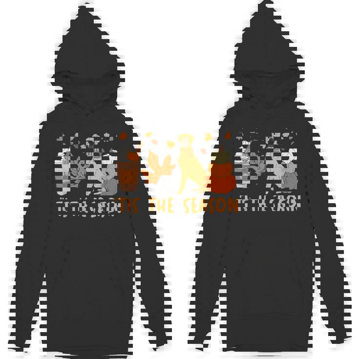 Tis The Season Great Dane Dog Fall Autumn Pumpkin Coffee Unisex Hoodie
