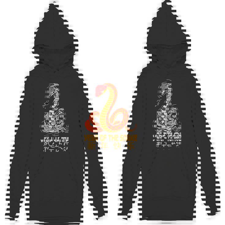 Year Of The Snake 2025 Chinese New Year 2025 Snake Hoodie