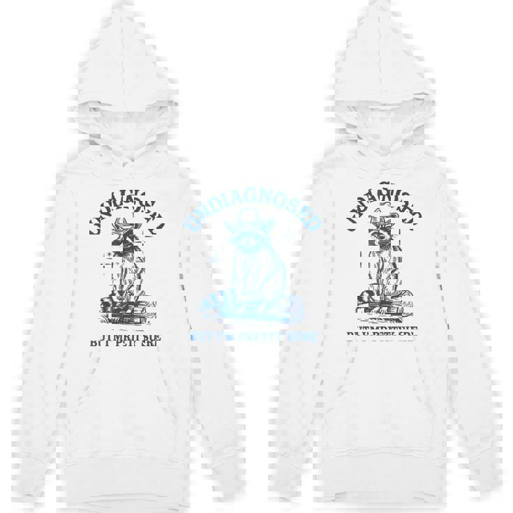 Cowboy Raccoon Meme Unisex Hoodie—Playful Statement Piece