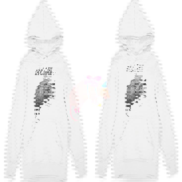 Fairy Godpossum Hoodie - Whimsical Trash Panda Design | Unisex