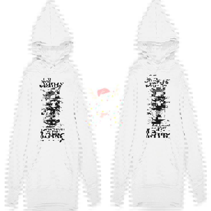 On The Naughty List I Regret Nothing Cat Christmas Lights Unisex Hoodie
