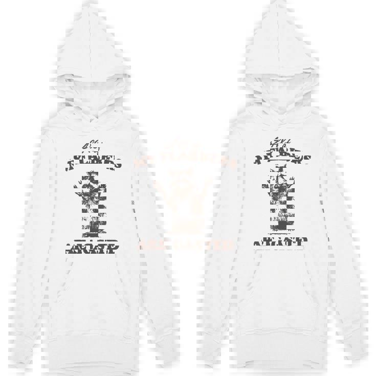Raccoon Hoodie | Fun Unisex Sweatshirt for Casual Occasions