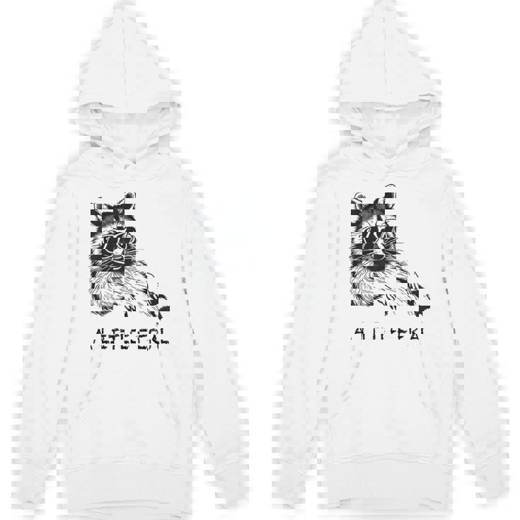 Raccoon Hoodie - Moonlit Trash Panda Design for Animal Lovers