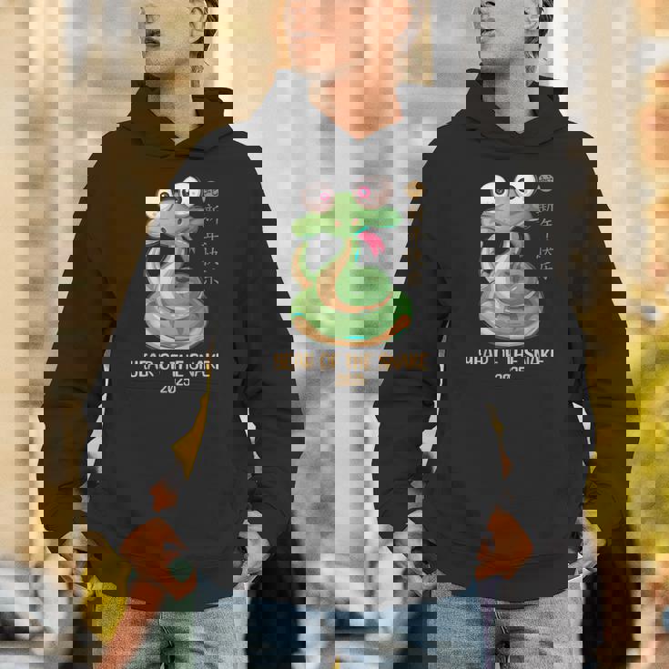 Lunar New Year 2025 Happy Chinese New Year Of The Snake Hoodie Lunar New Year 2025 Happy Chinese New Year Of The Snake Hoodie