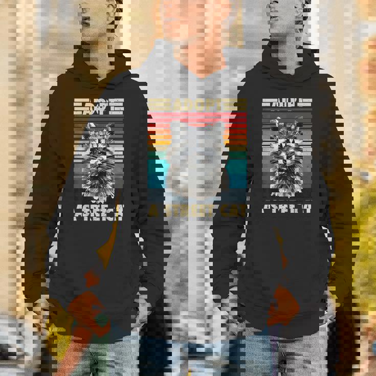 Raccoon Vintage Retro Unisex Hoodie - Fun For All Ages