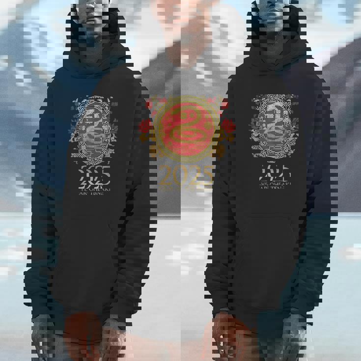 Chinese New Year Of The Snake 2025 Dragon Lunar Zodiac Hoodie
