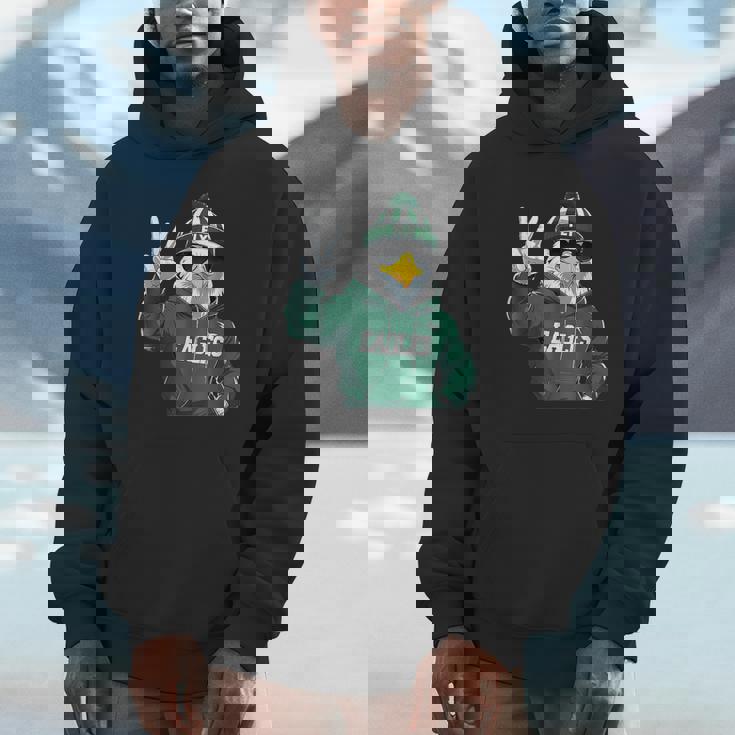 Eagles Fly Vintage Eagles Flying Bird Graphic Eagles Hoodie