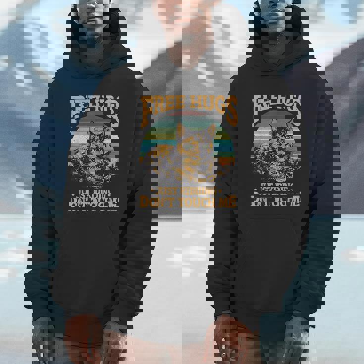 Free Tortoiseshell Cat Hugs Just Kidding Dont Touch Me Hoodie