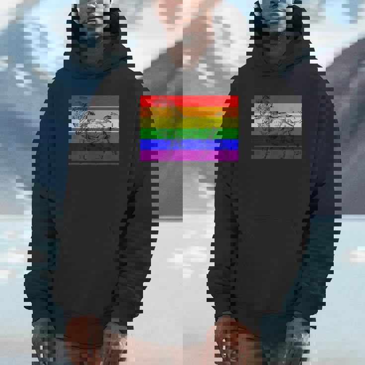 Gay Lion Pride Flag Rainbow Queer Lion Unisex Hoodie