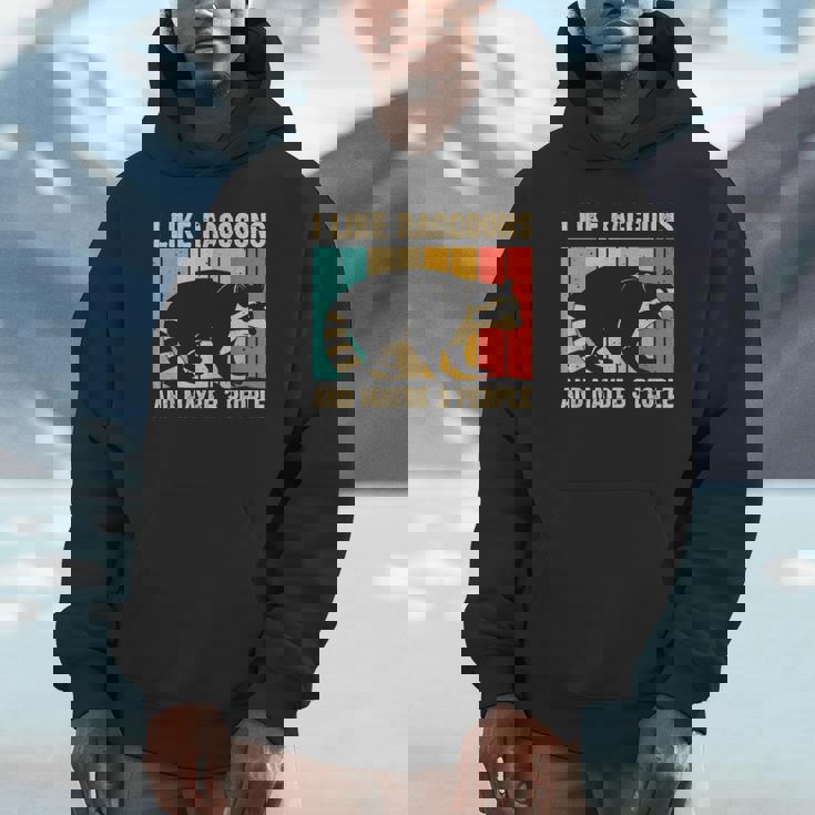 Raccoon For Men Women Raccoon Lover Introvert Unisex Hoodie