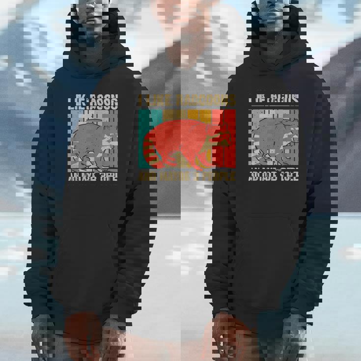 Raccoon Unisex Hoodie - Cozy Introvert Wear for Raccoon Lovers