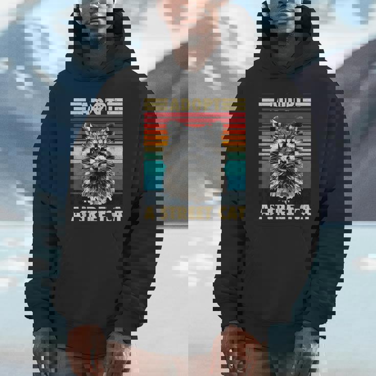 Raccoon Vintage Retro Unisex Hoodie - Fun For All Ages