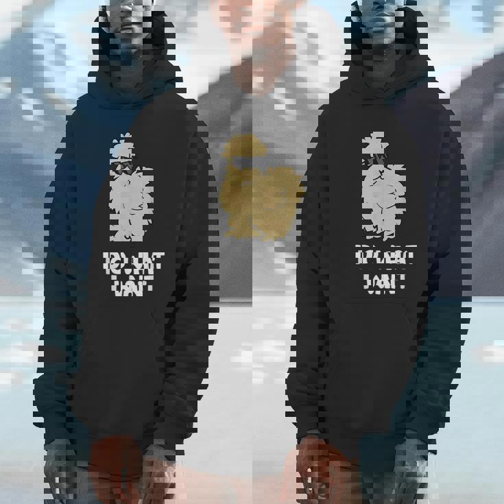 Silkie Chicken Owner I Do What I Want Pet Silkie Chicken Unisex Hoodie