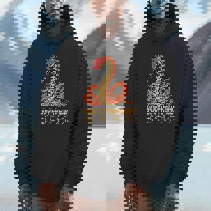 Year Of The Snake 2025 Chinese New Year 2025 Snake Hoodie