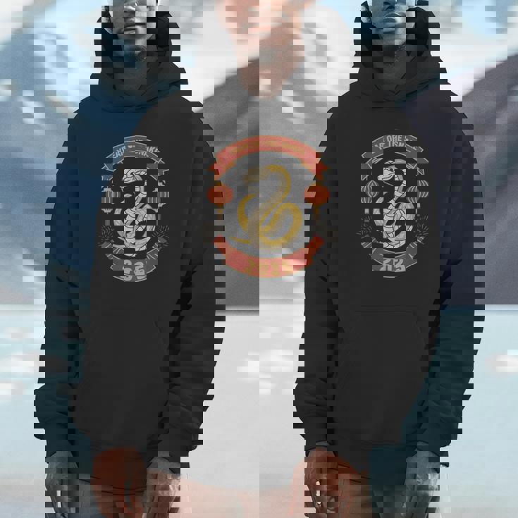 Year Of The Snake 2025 Chinese Zodiac Chinese New Year Hoodie