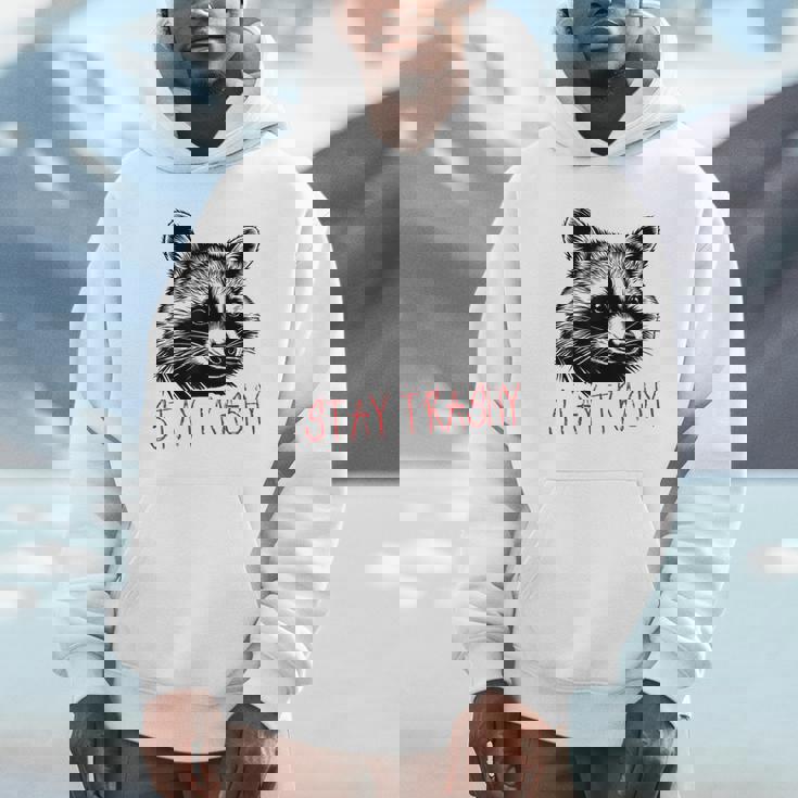 Street Cat Vintage Stay Trashy Raccoon Hoodie
