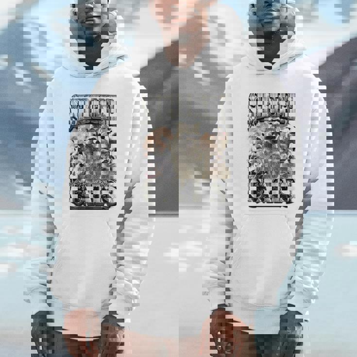 Retro Raccoon Unisex Hoodie - Feral Summer Vibes