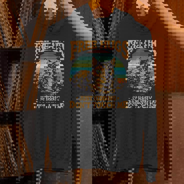 Free Tortoiseshell Cat Hugs Just Kidding Dont Touch Me Hoodie