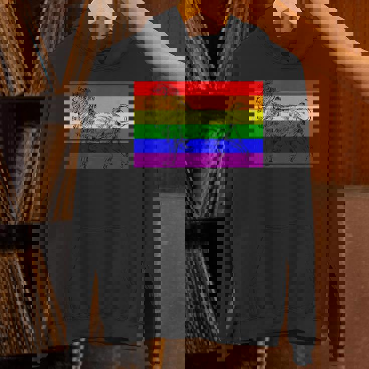 Gay Lion Pride Flag Rainbow Queer Lion Unisex Hoodie