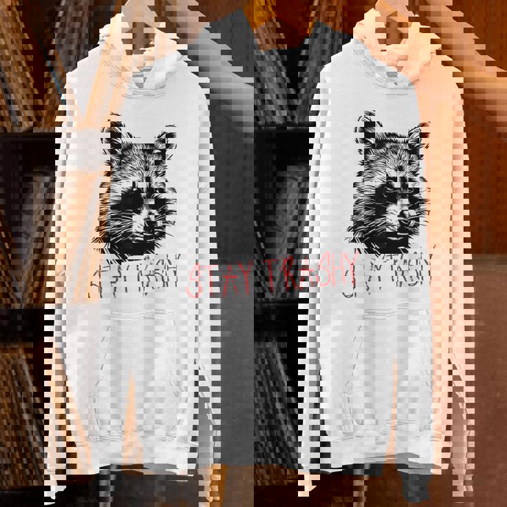 Street Cat Vintage Stay Trashy Raccoon Hoodie