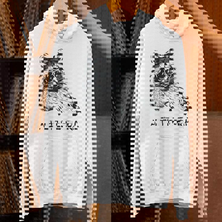 Raccoon Hoodie - Moonlit Trash Panda Design for Animal Lovers