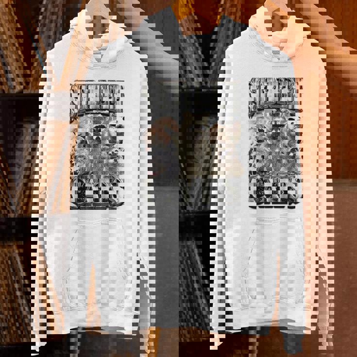 Retro Raccoon Unisex Hoodie - Feral Summer Vibes