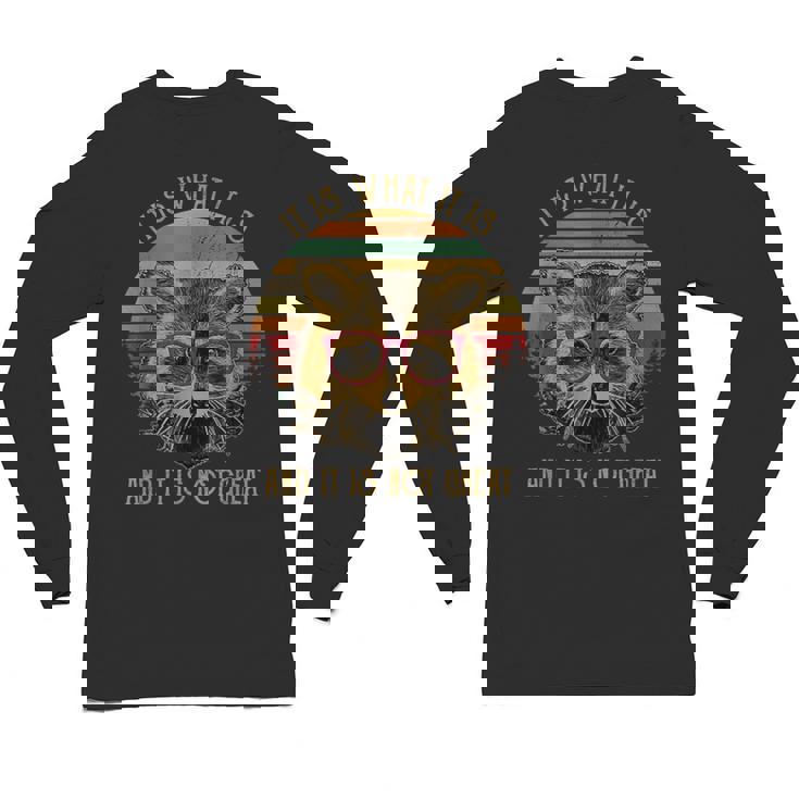 Raccoon Trash Panda Cartoon Unisex Long Sleeve T-Shirt for Kids
