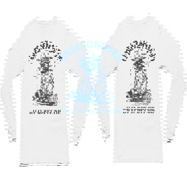 Cowboy Raccoon Meme | Unisex Long Sleeve Tee - Fun & Whimsical