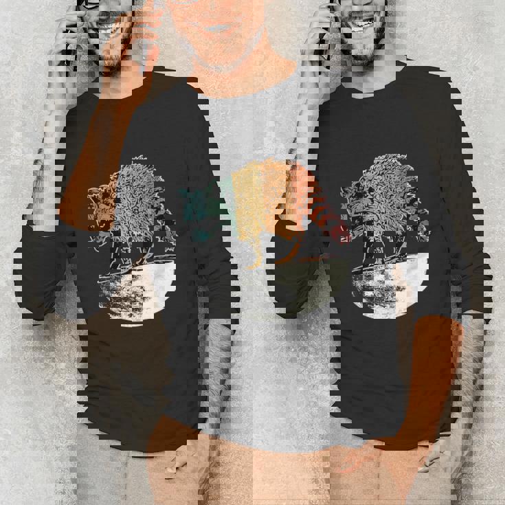 Retro Raccoon Unisex Long Sleeve T-Shirt - Vintage Moon Design