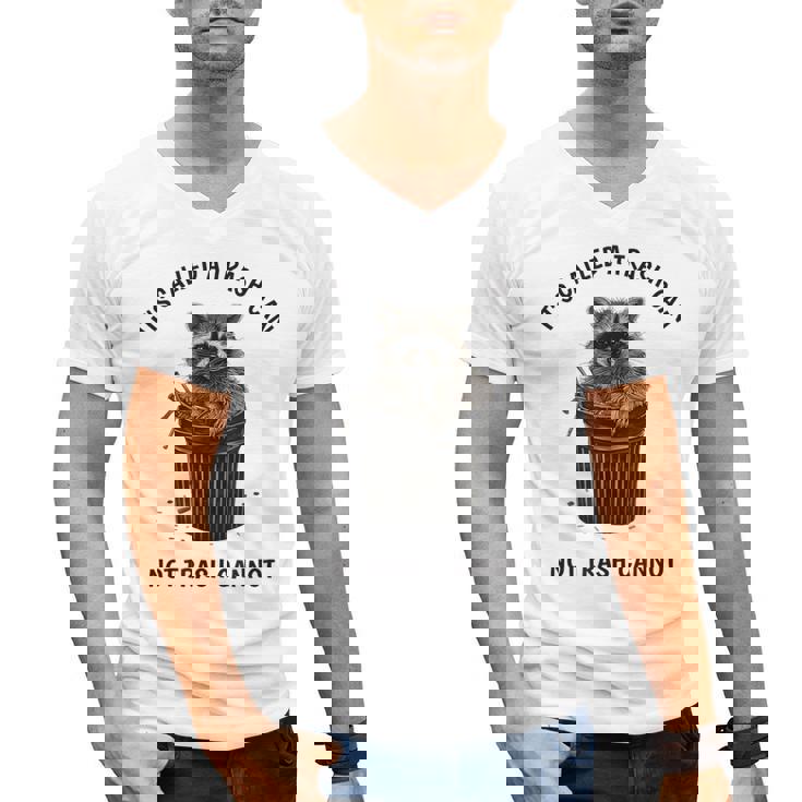 Retro 90s Sunset Raccoon Men's V-Neck T-Shirt | Fun Everyday Wear