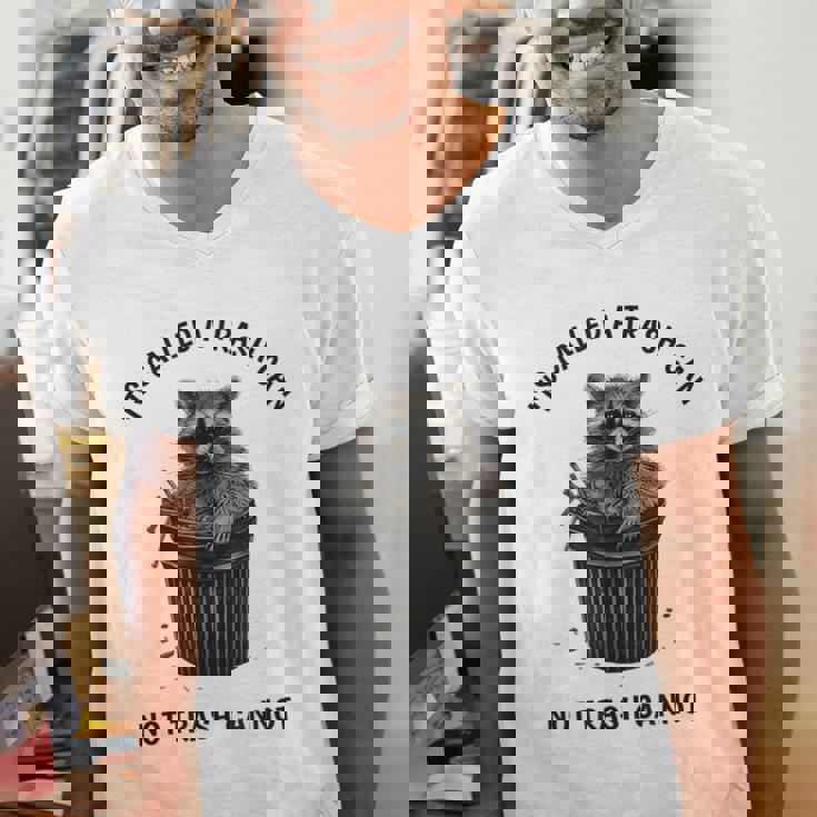 Retro 90s Sunset Raccoon Men's V-Neck T-Shirt | Fun Everyday Wear