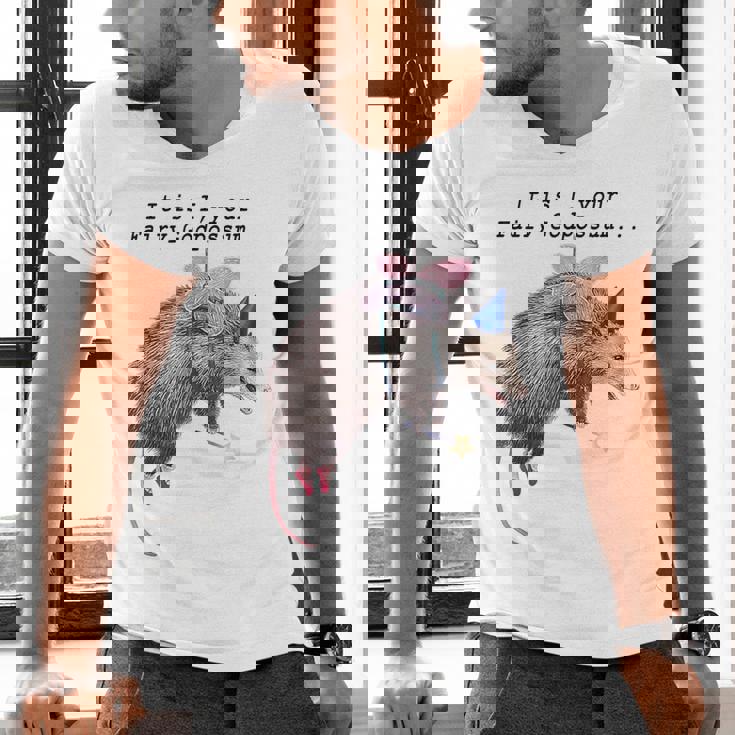 Fairy Godpossum V-Neck T-Shirt - Raccoon Trash Panda Fun for Men