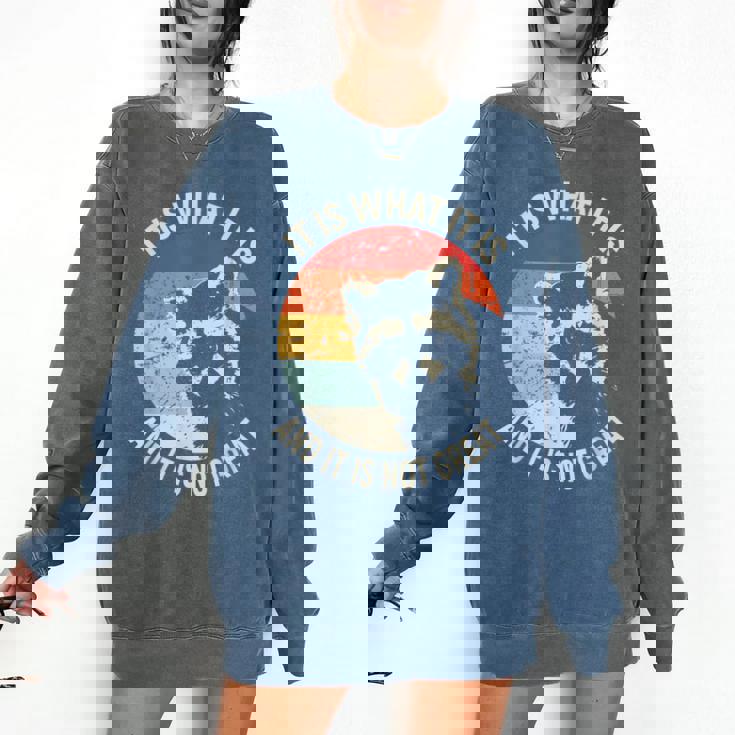 Raccoon Vintage Sweatshirt - Unisex Comfort Colors Boost