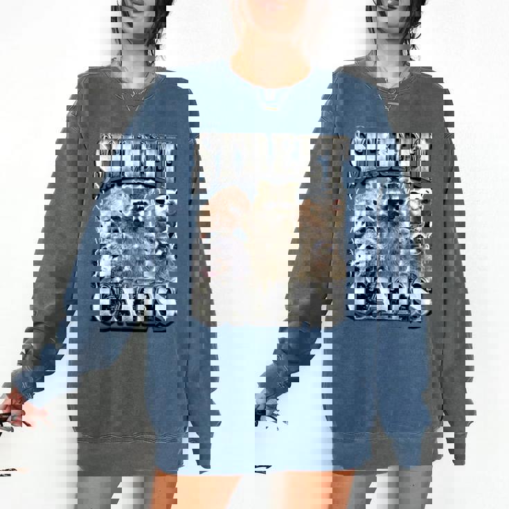 Retro Raccoon Summer Sweatshirt - Unisex Comfort Fit
