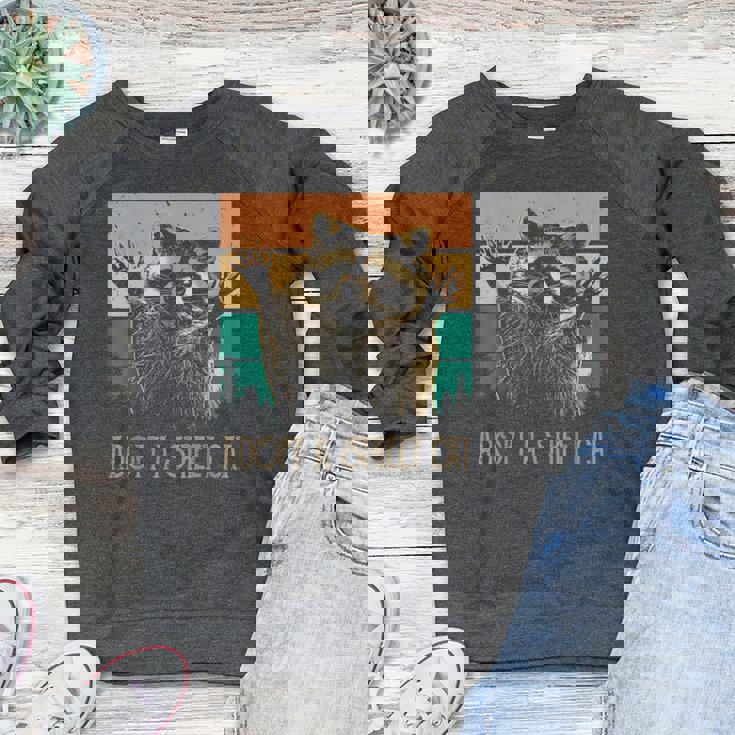 Adopt A Street Cat Women's Raglan Sweatshirt - Animal Lovers