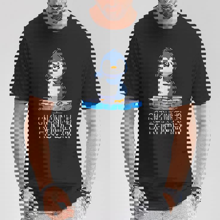 Ganz Dünnes Eis Freundchen Sarkasmus Lustiger Spruch Fun T-Shirt Lustige Geschenke