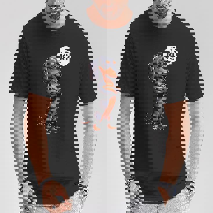 Humorvolle s Für Rauhaardackel Hundebesitzer Dickköpfiger Rauhaardackel Nö Dackel Hund Lustiges Hunde Schwarz U-Ausschnitt Kurzarm S Eu Klein Kind Casual T-Shirt Lustige Geschenke