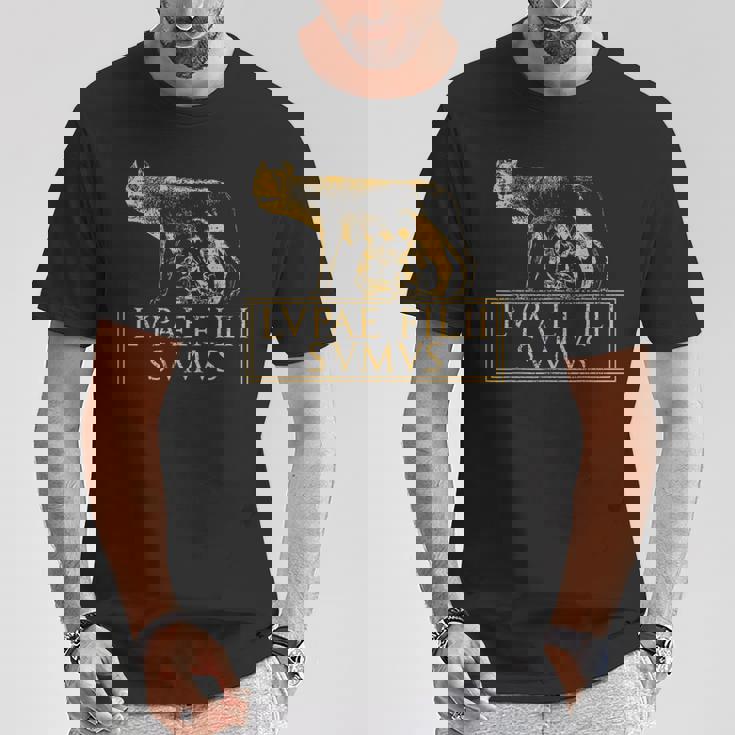 Roma Lupa Cita Del Imperio Romano Antigua De Roma Camiseta unisex Regalos divertidos