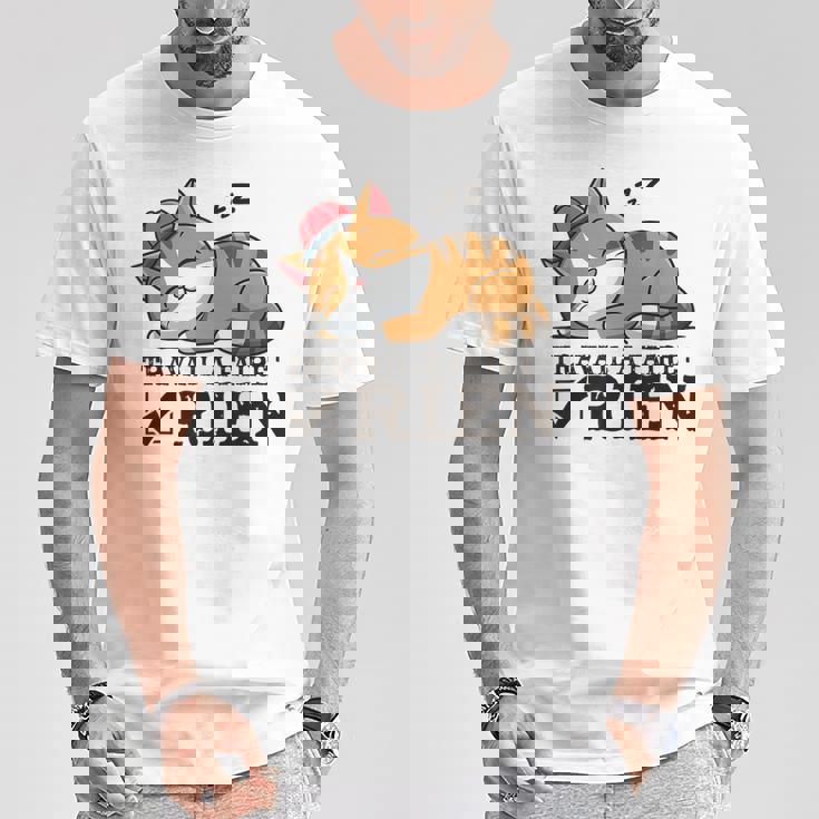 Chat Humour Travail À Faire Rien Idée Sommeil Flemme T-Shirt Cadeaux drôles