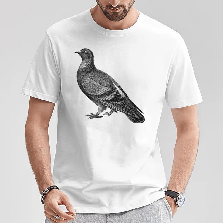 Editionintage English Pigeon Gray T-Shirt Lustige Geschenke