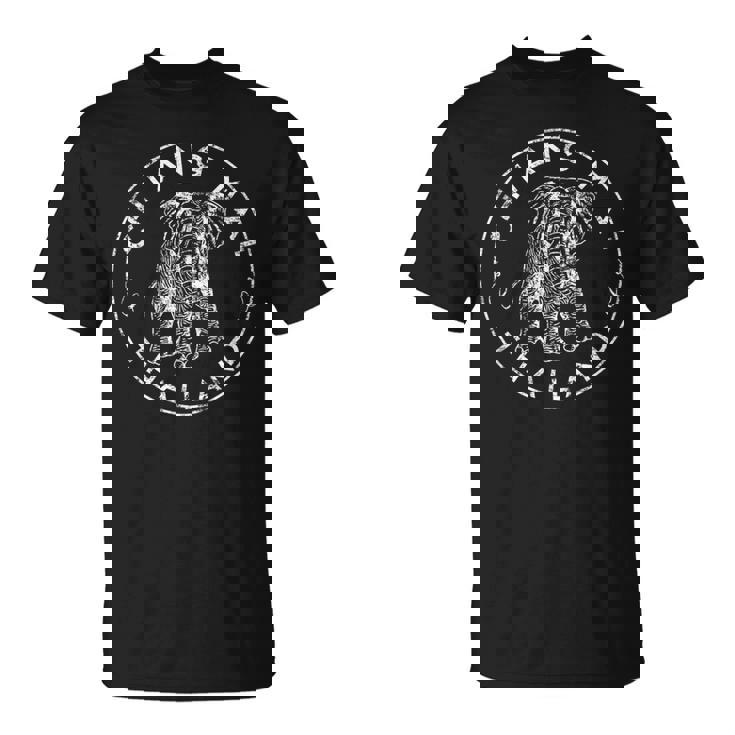 Chiang Mai Thailand Elephant Thai Digital Nomad T-Shirt